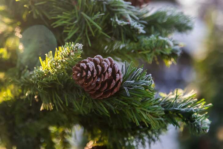 © Фото Андрея Заржецкого.📷
