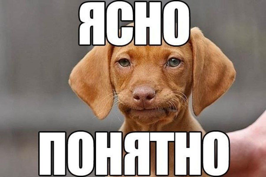 Из открытых источников