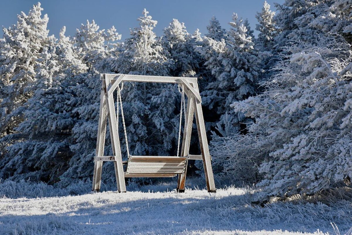 Фото: ФГБУ «Заповедный Крым»