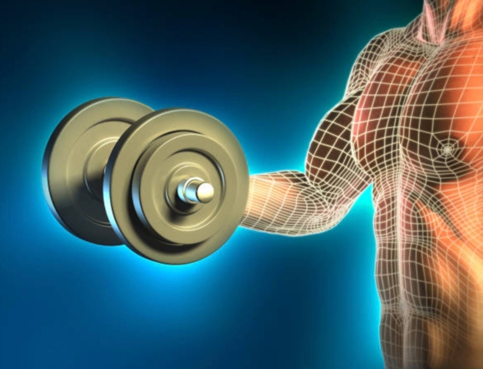 Источник: www.istockphoto.com