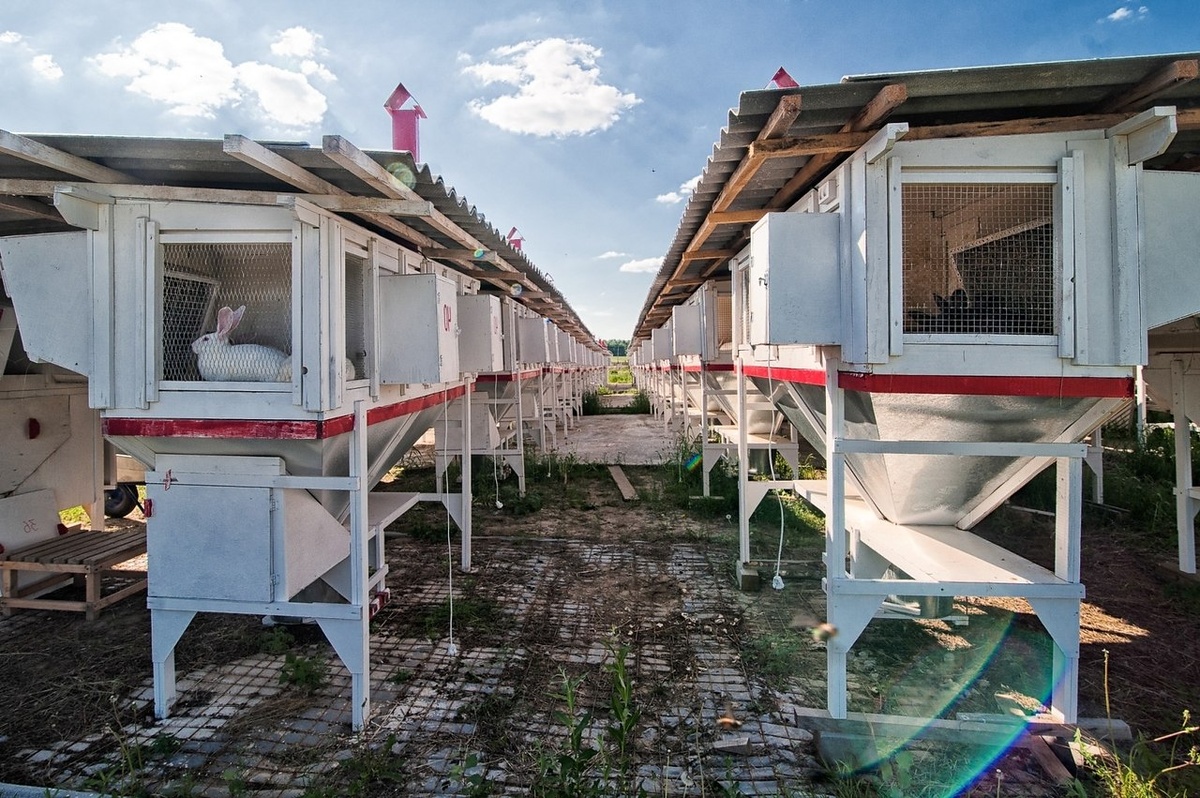 Разработано fotostrana.ru. Источник фото: https://fotostrana.ru/public/post/233965/1801846674/