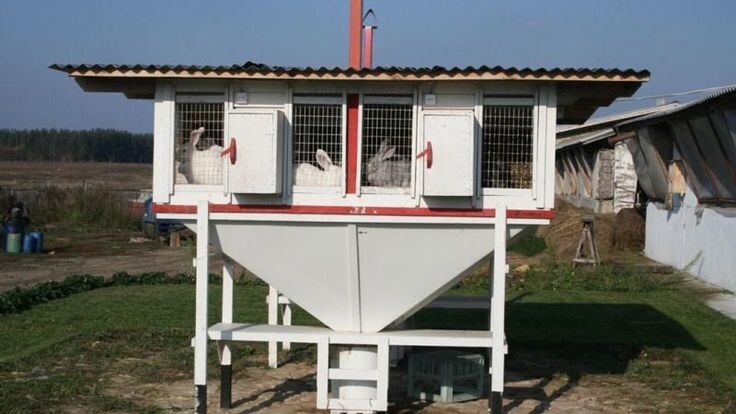 Разработано ru.pinterest.com. Источник фото: https://ru.pinterest.com/pin/606930487282990344/