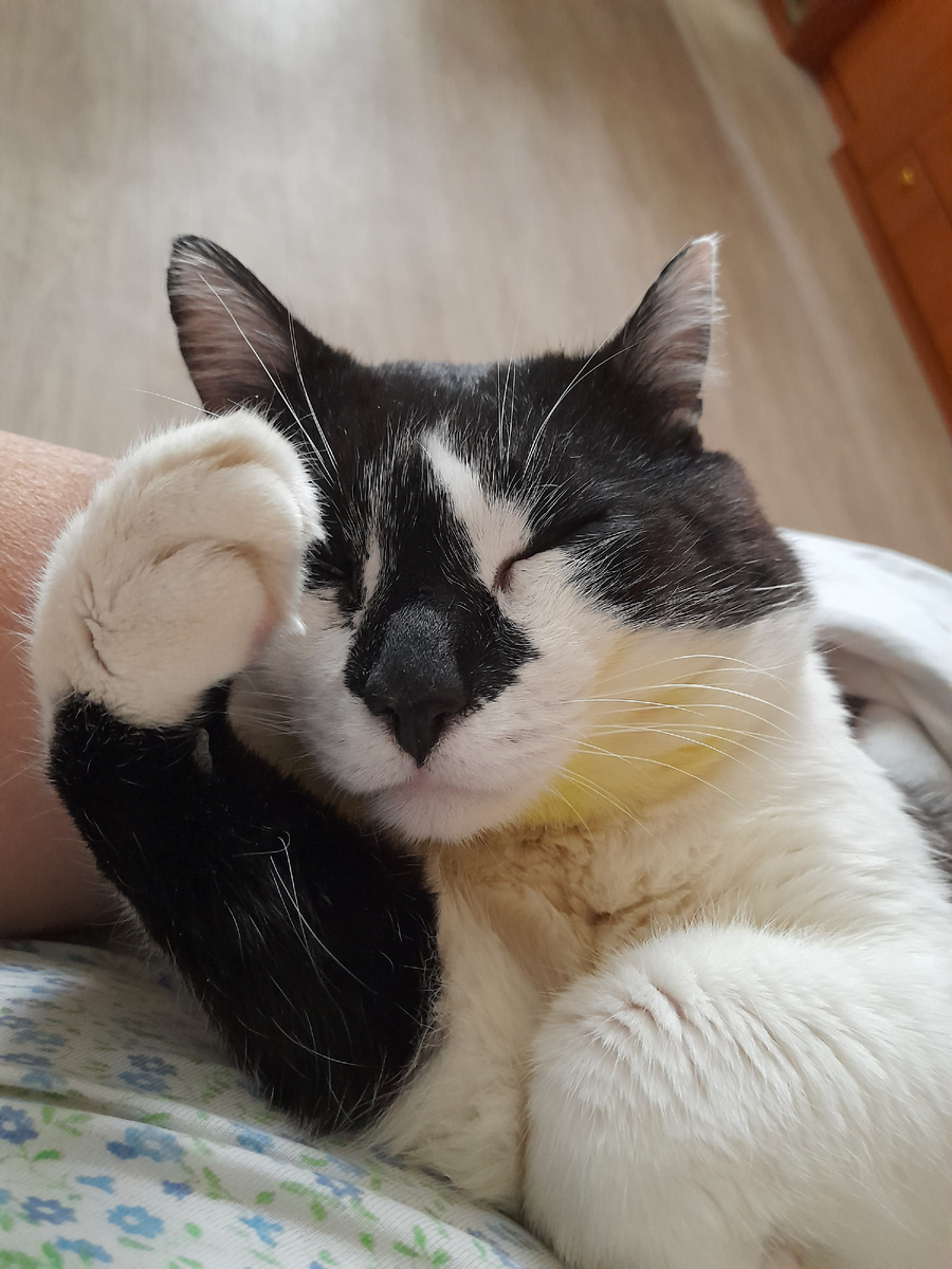 Фото автора. Митя за "полторушку" голосует