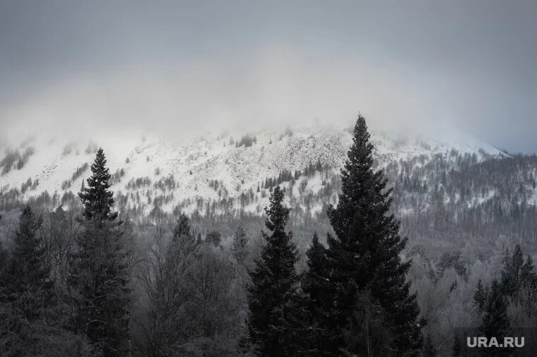 Уральские ученые пытаются вычислить место падения болида, чтобы отправиться в экспедицию. Фото: Вадим Ахметов © URA.RU
