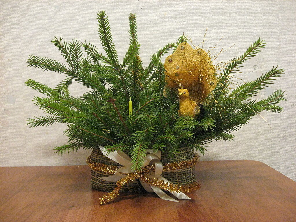 фото из интернета