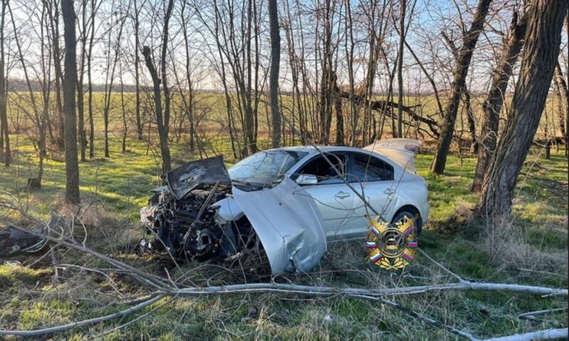    Фото t.me/gibdd123region