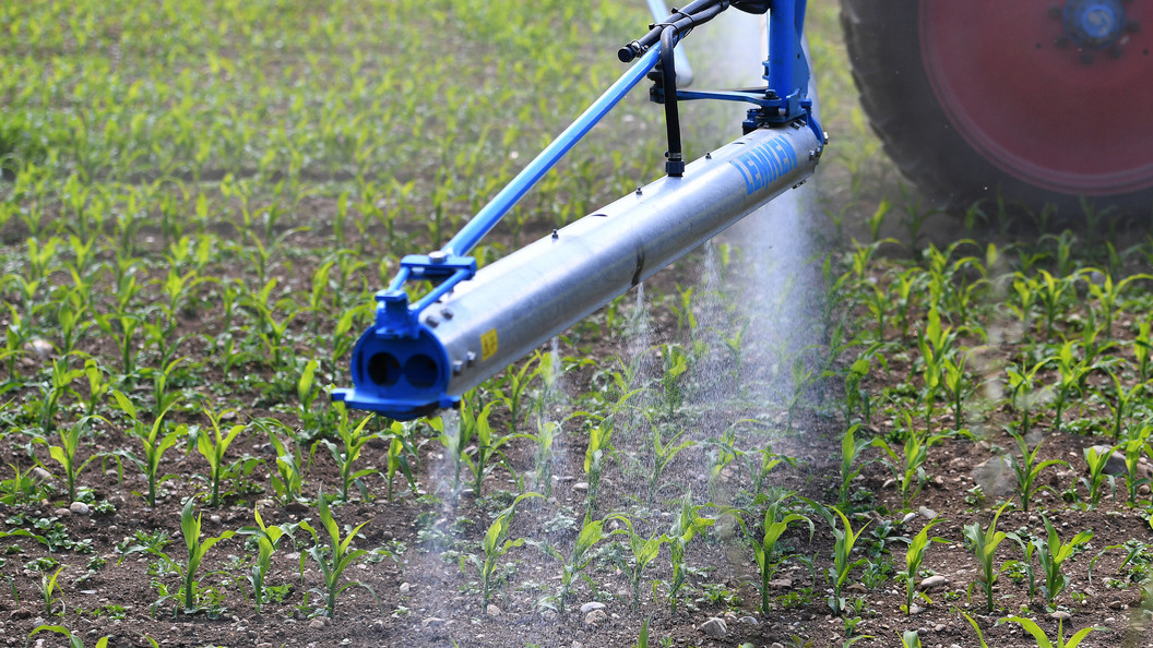    фото: FrankHoermann/SVEN SIMON/Globallookpress