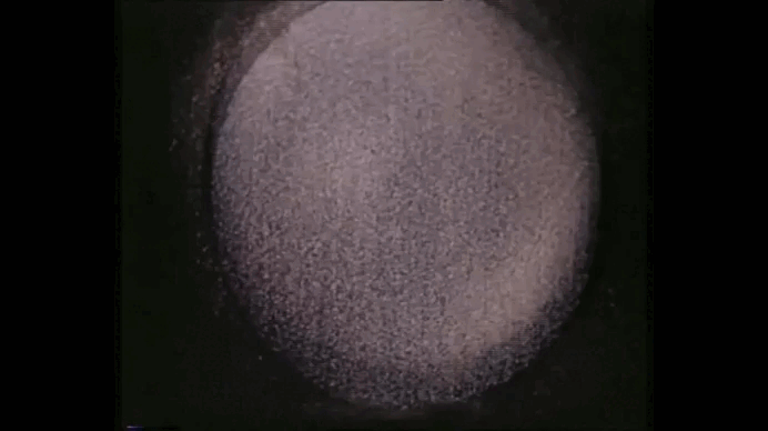 Эксперименты доктора Ханса Дженни. Под воздействием звука песок принимает четкие и строгие формы.