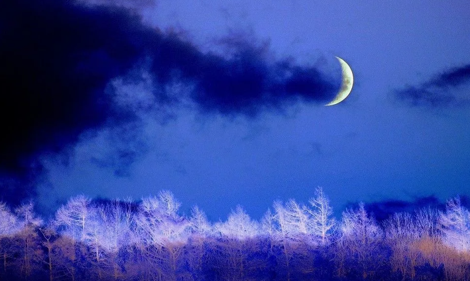 картинки Яндекс