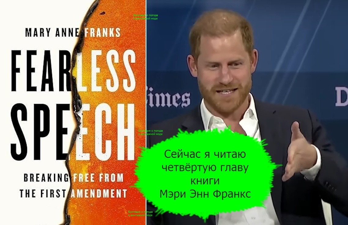В беседе с Эндрю Соркиным принц сказал, что "находится в процессе чтения" очень актуальной книги доктора Мэри Энн Франкс