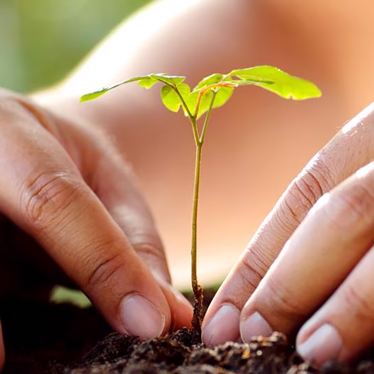 By depositphotos.com