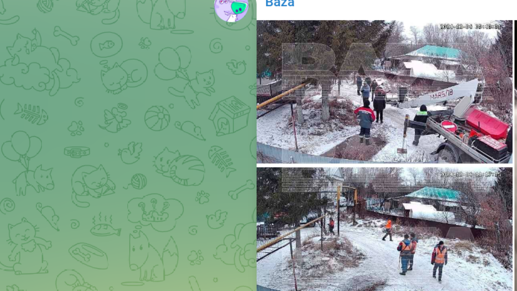    фото: тг-канал baza