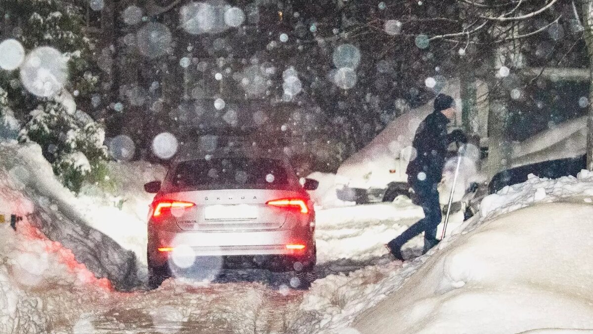     Источник: 1MI