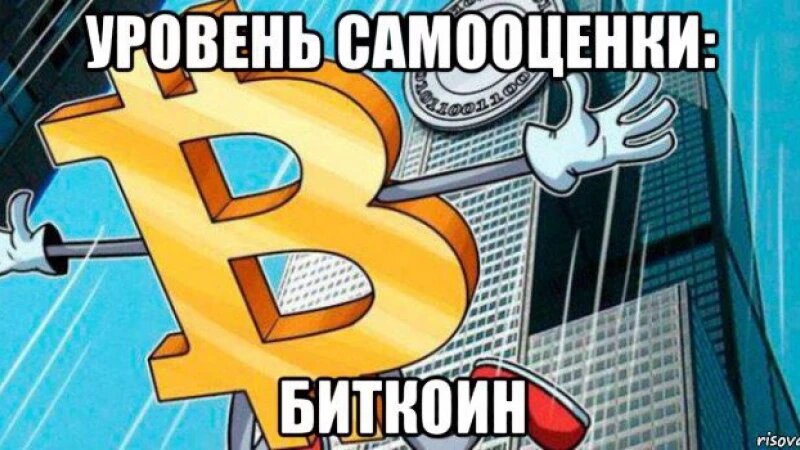     Самые прибыльные мемы про биткоин. Подборка pikabu.ru