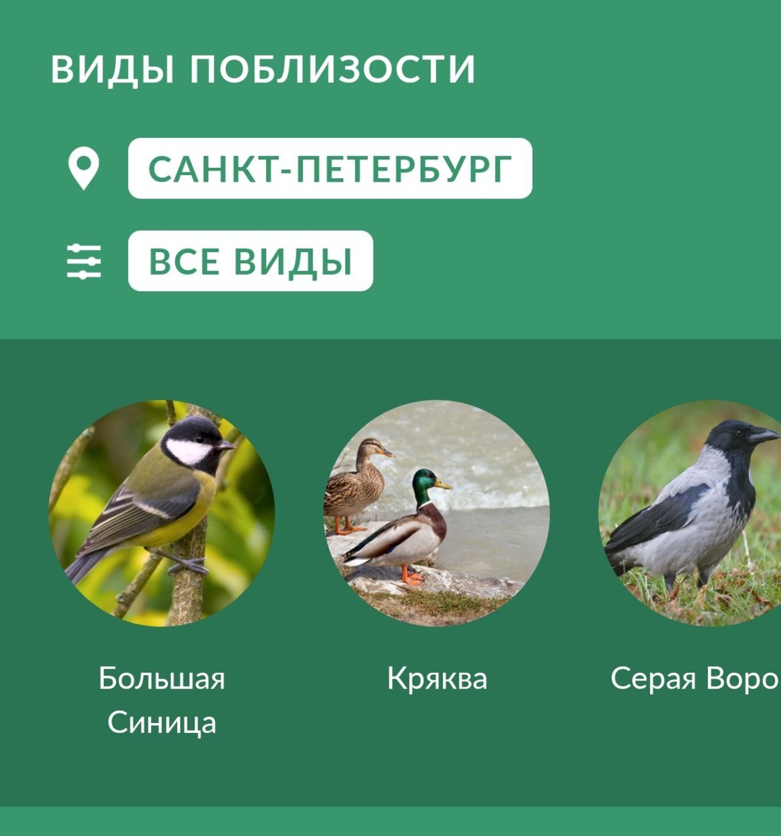 Приложение Seek