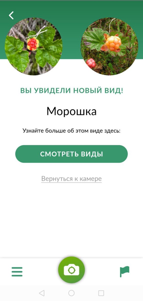 -2-2