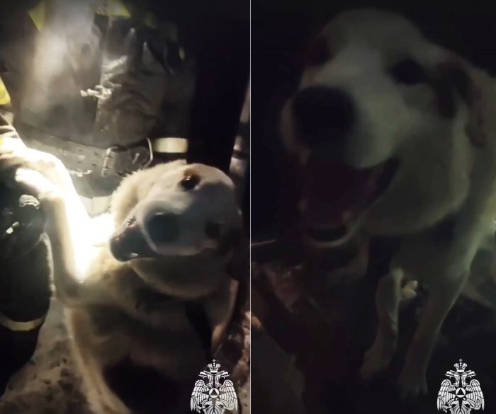 Кадр видео ГУ МЧС по Новосибирской области