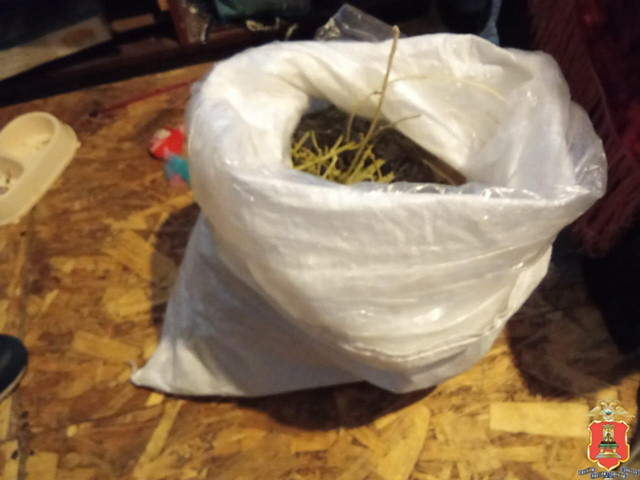 В Тверской области мужчина хранил в квартире коноплю. Задержан