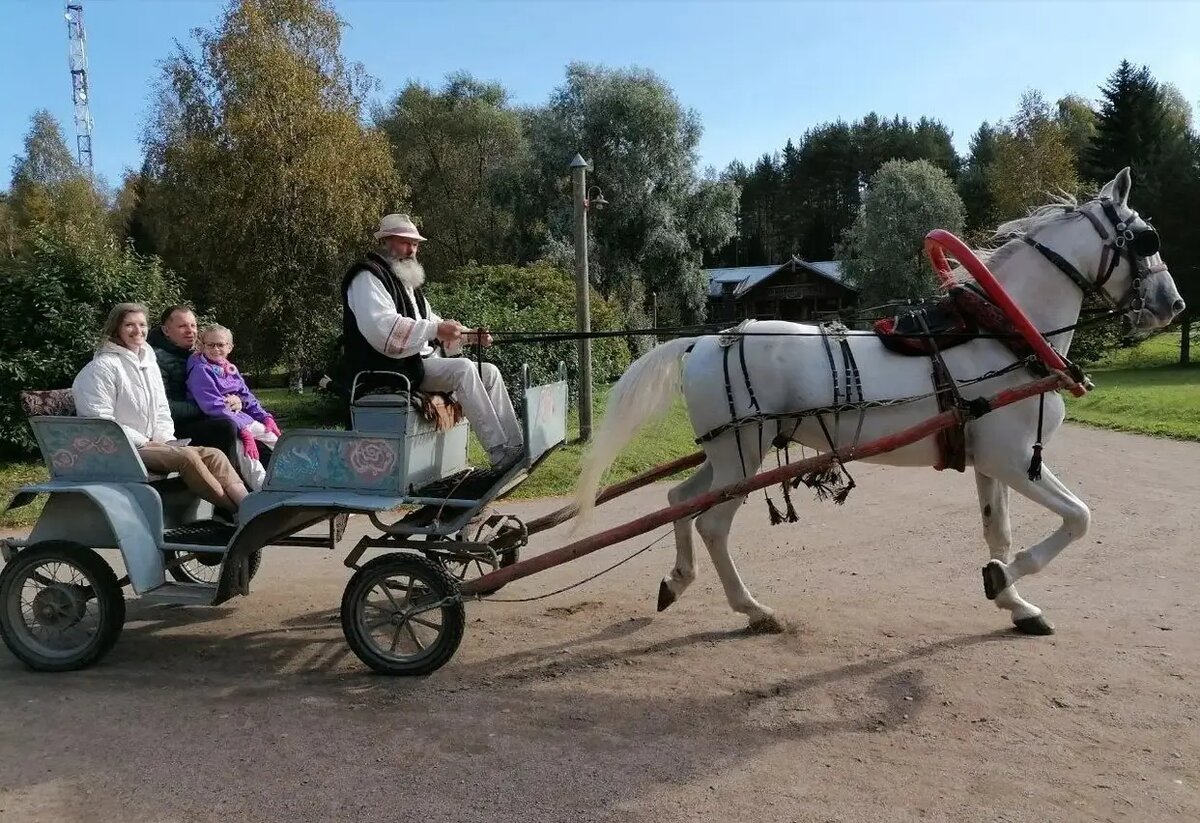     Деревня Мандроги в Ленинградской области. © "Интерфакс". Геннадий Чемоданов