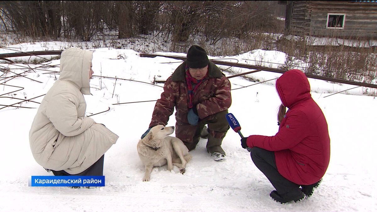    "Вести" узнали, что стало с собакой Белкой, которая 4 дня ждала утонувшего хозяина в Башкирии