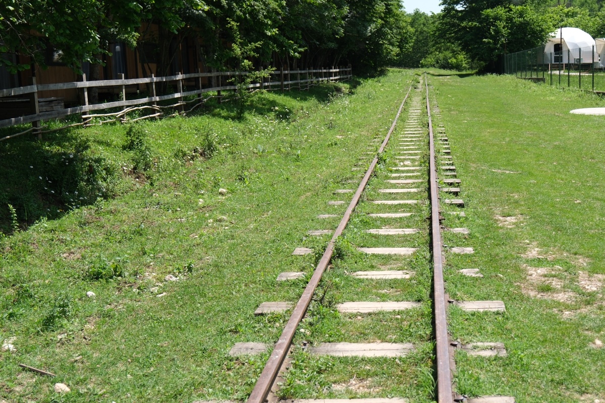 Фото: Михаил Ступин
