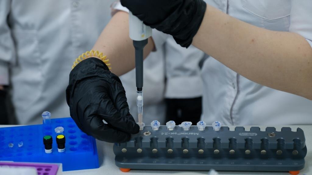     Красноярские ученые создали улучшенное лекарство от рака