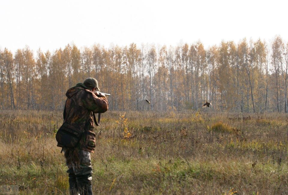 Охотник - реальная опасность для грибников и копателей