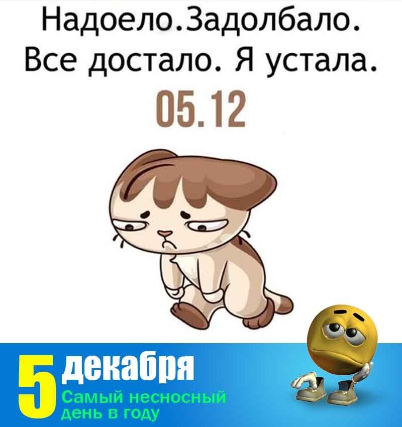 Источник: Праздник каждый День - Приложение Андроид.