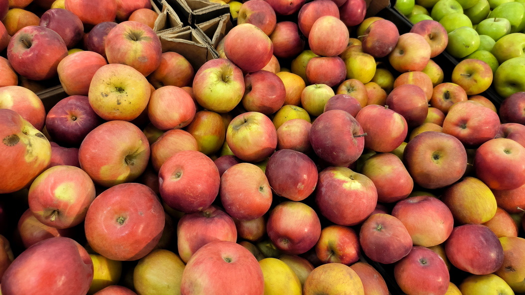    Maksim Konstantinov/Global Look Press