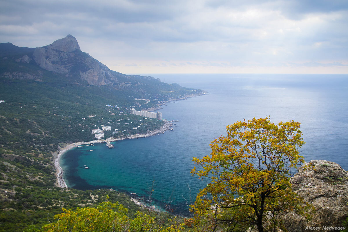 Из открытых источников.