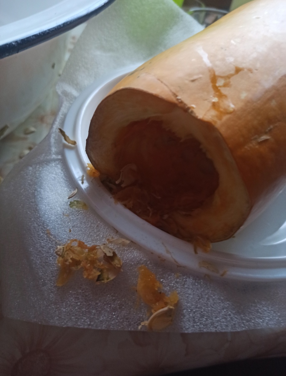 Экологически чистый кабачок 😆