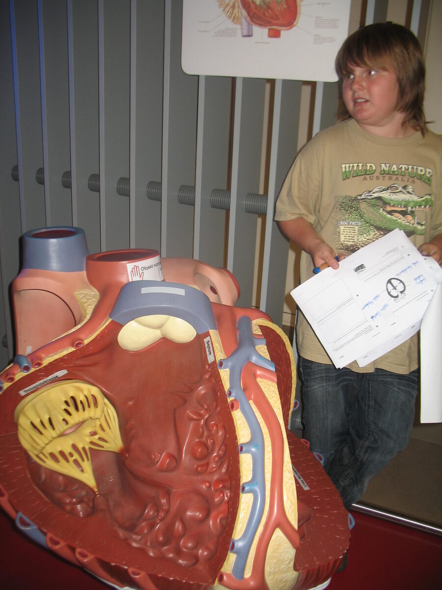 Изображение ладони на экспонате как раз и указывает на то, что его можно и нужно трогать