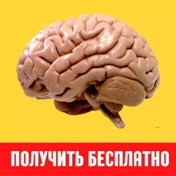 Получите мозги бесплатно на супер практикуме в ОНЛАЙН ШКОЛЕ МНЕМОНИКЕ ПО НАШЕЙ ПАРТНЕРСКОЙ ССЫЛКЕ