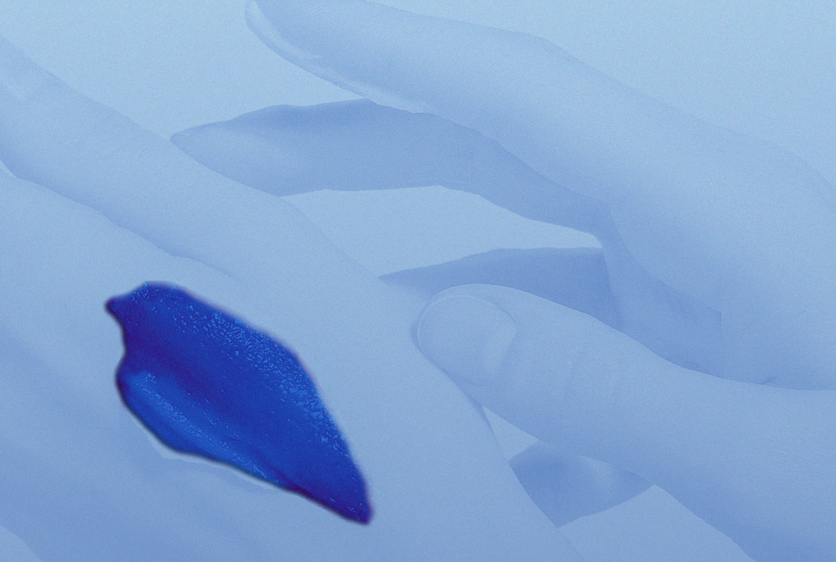 Фото: Shutterstock