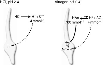 Фото взято из открытых источников.