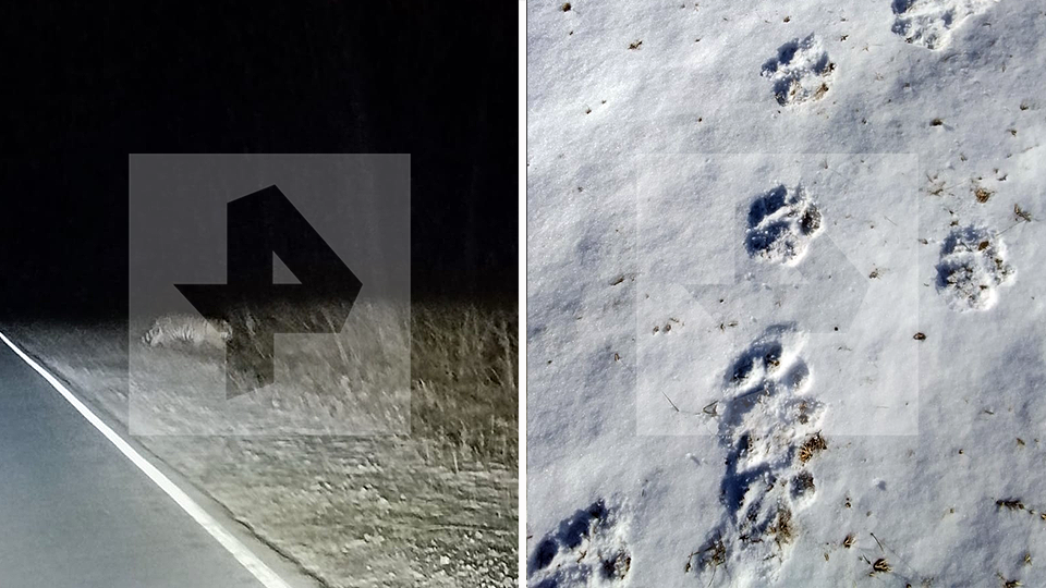 Фото: © РЕН ТВ