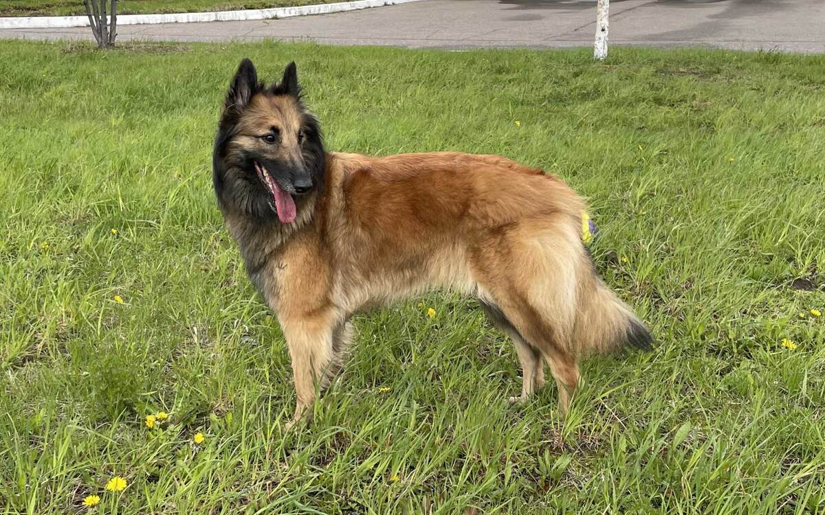 Тесса Брайт Берн c Красной Горки