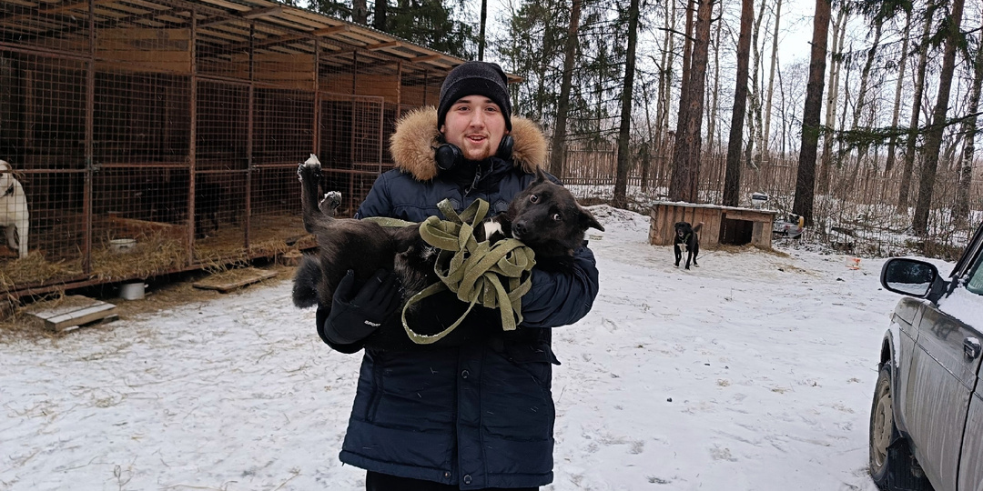 Как выживать приюту для собак? Способ первый: оптимизм и надежда