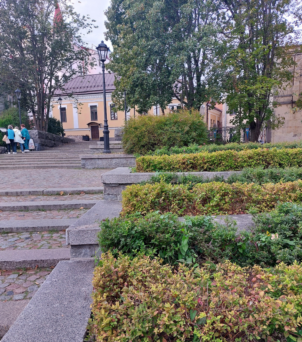 Фото автора Выборг