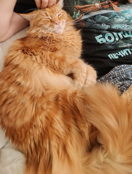 Сёма в компании