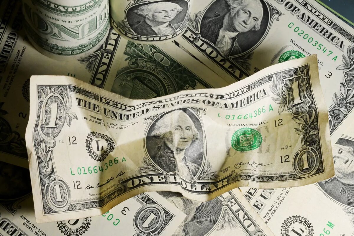 © Sputnik / Владимир Трефилов
© Sputnik / Владимир Трефилов