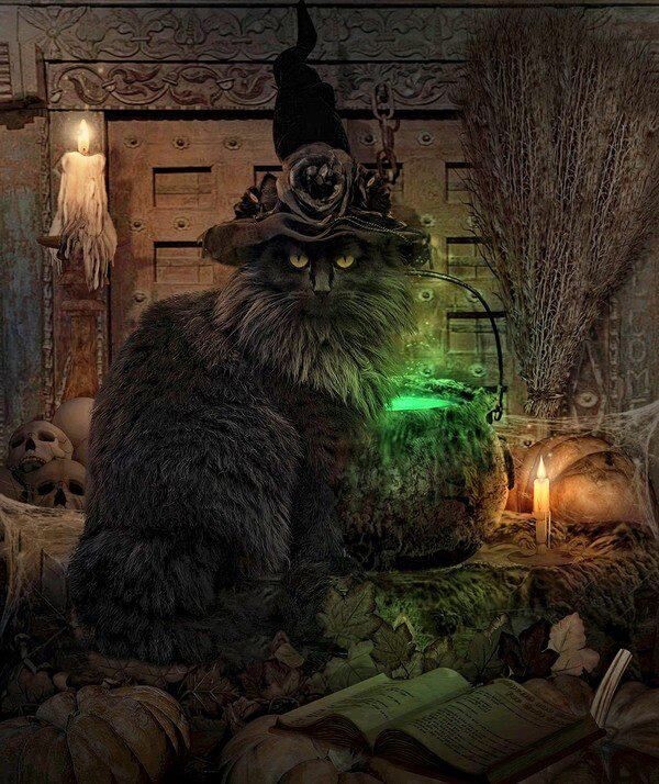 Яндекс картинки