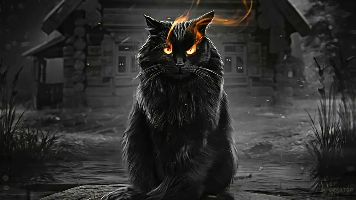 Яндекс картинки