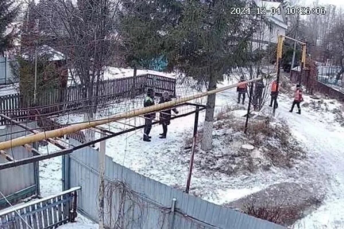    Появились новые подробности истории со срубленной елкой в уфимской Деме