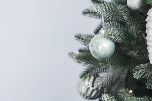    Как белгородцы будут отдыхать на новогодние праздники в 2025 году?