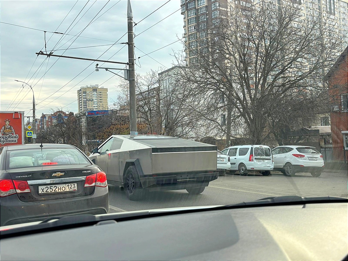 Фото автора©️