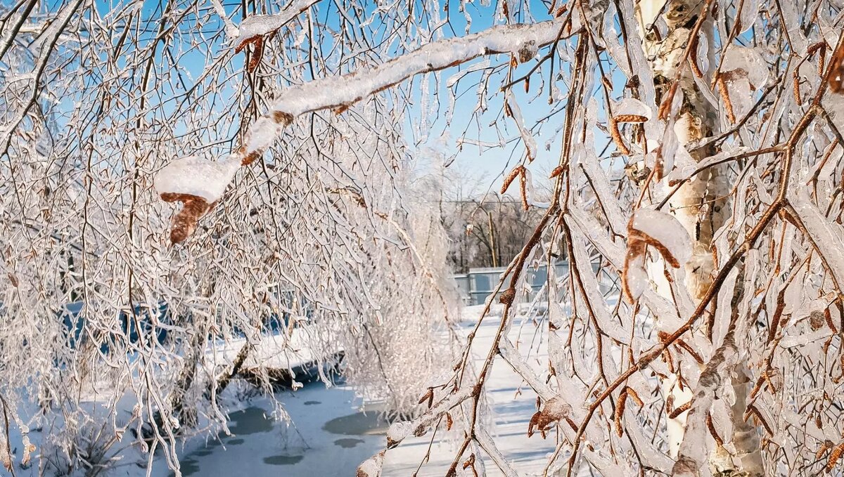     Источник: 1MI