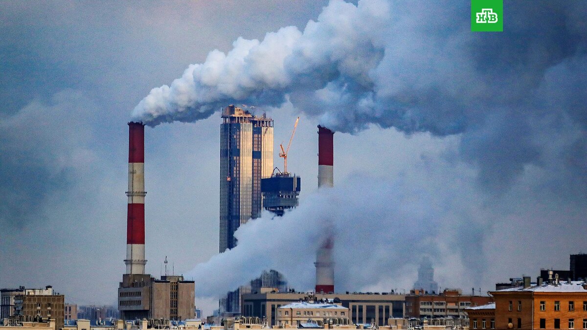    Фото: РИА Новости © 2024, Антон Денисов