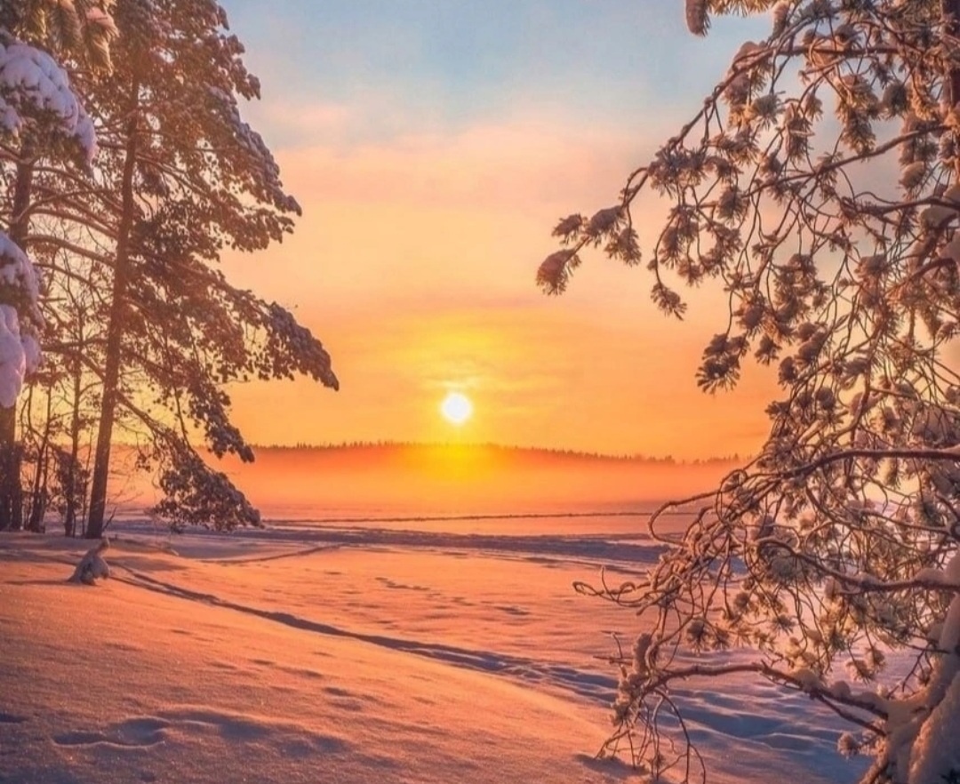 Изображение из открытых источников.