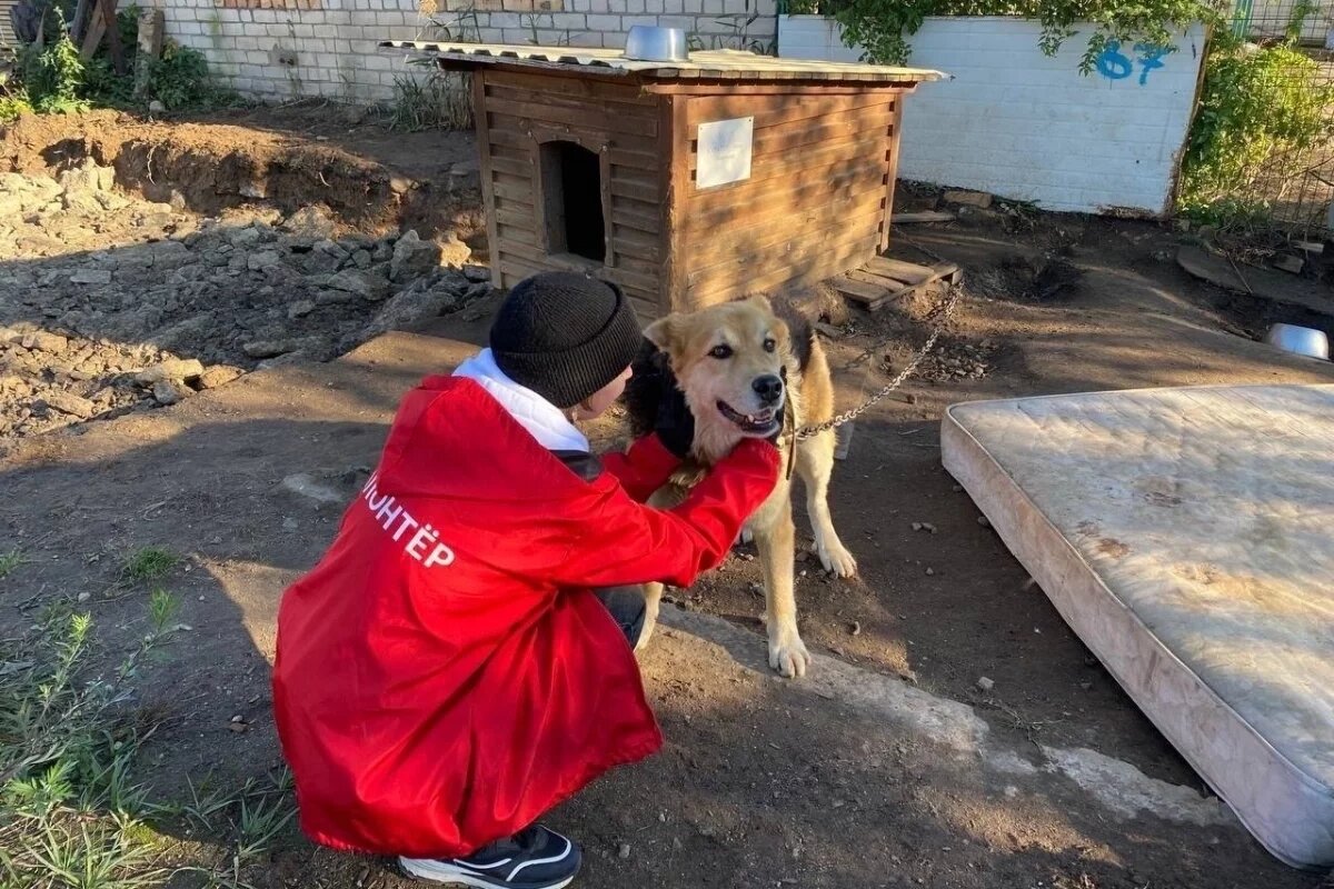    Борис Елкин: Добровольцы – это душа нашего общества